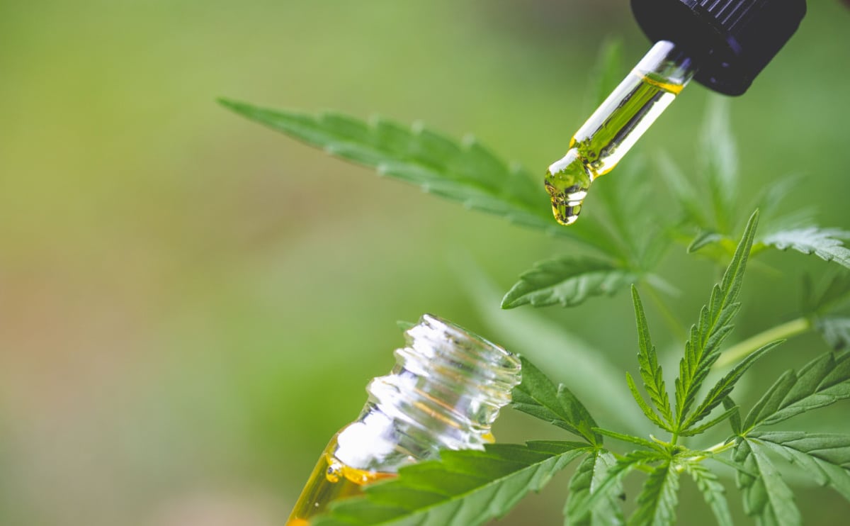 Hemp-derived CBD oil dropping from a dropper into a vial, with the green leaves of a hemp plant in the background.