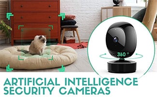 Cat being detected by AI camera (Caption: Artificial intelligence Security Cameras)