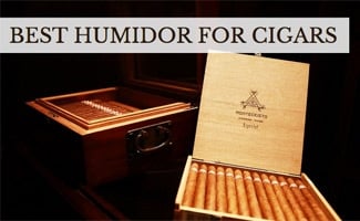 best humidor for cigars