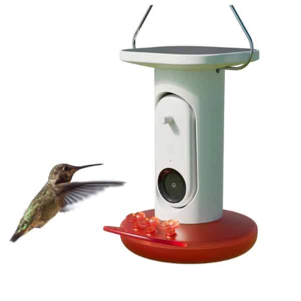 Bird Buddy hummingbird feeder.