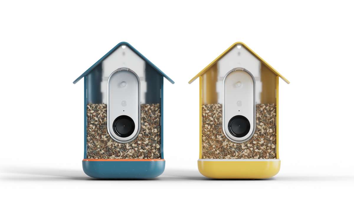 Bird Buddy in blue or yellow.