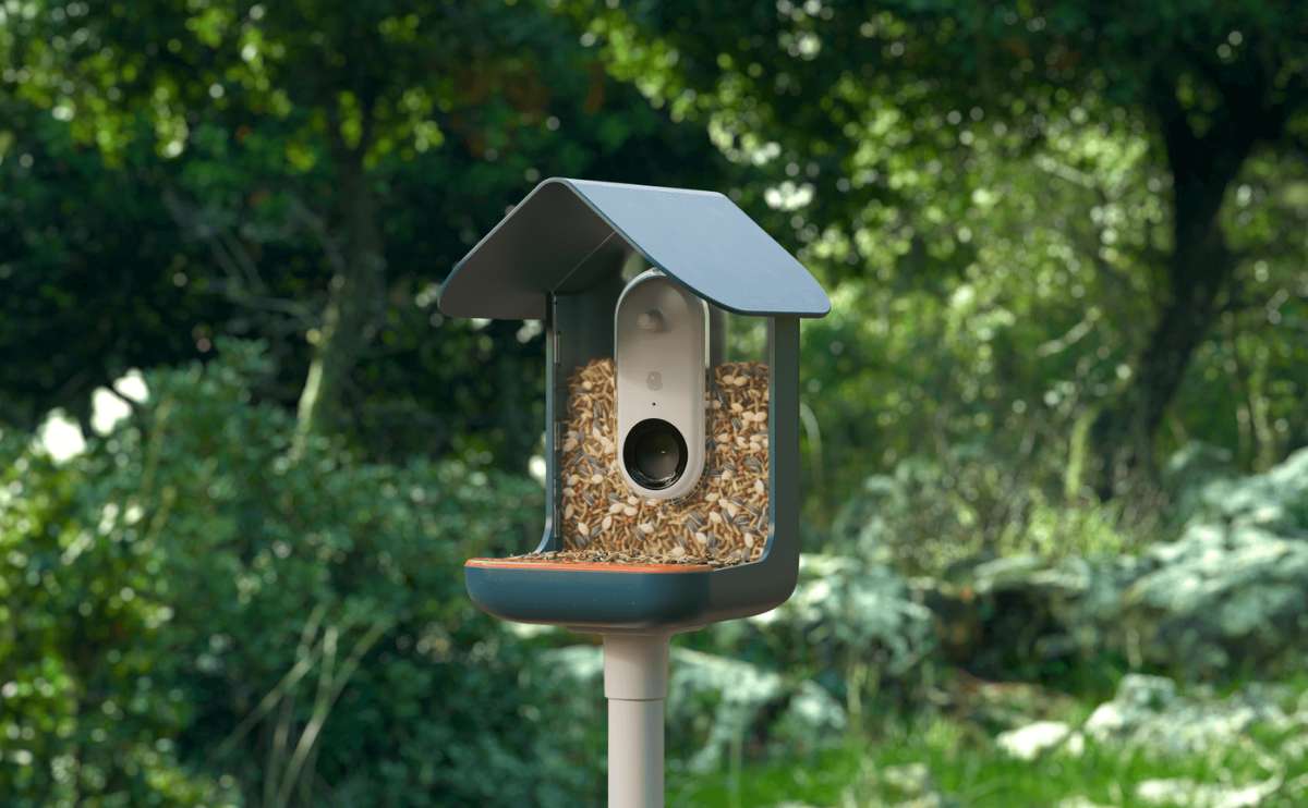 Bird Buddy on a stand in a yard.