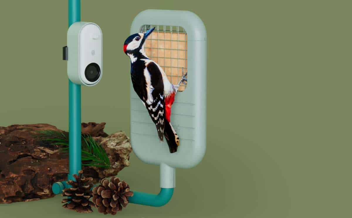 Bird Buddy's Smart Woodpecker Feeder