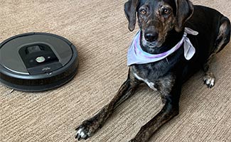 Sally the dog sitting next to iRobot vacuum