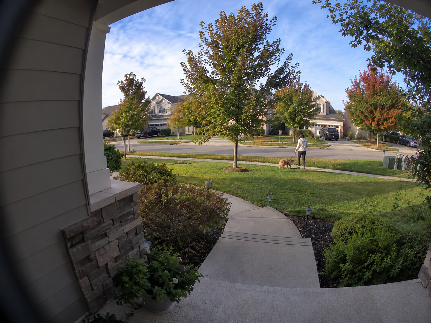 view from a doorbell camera showing the neighbor's yard