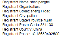 Screenshot of WHOIS website owner details