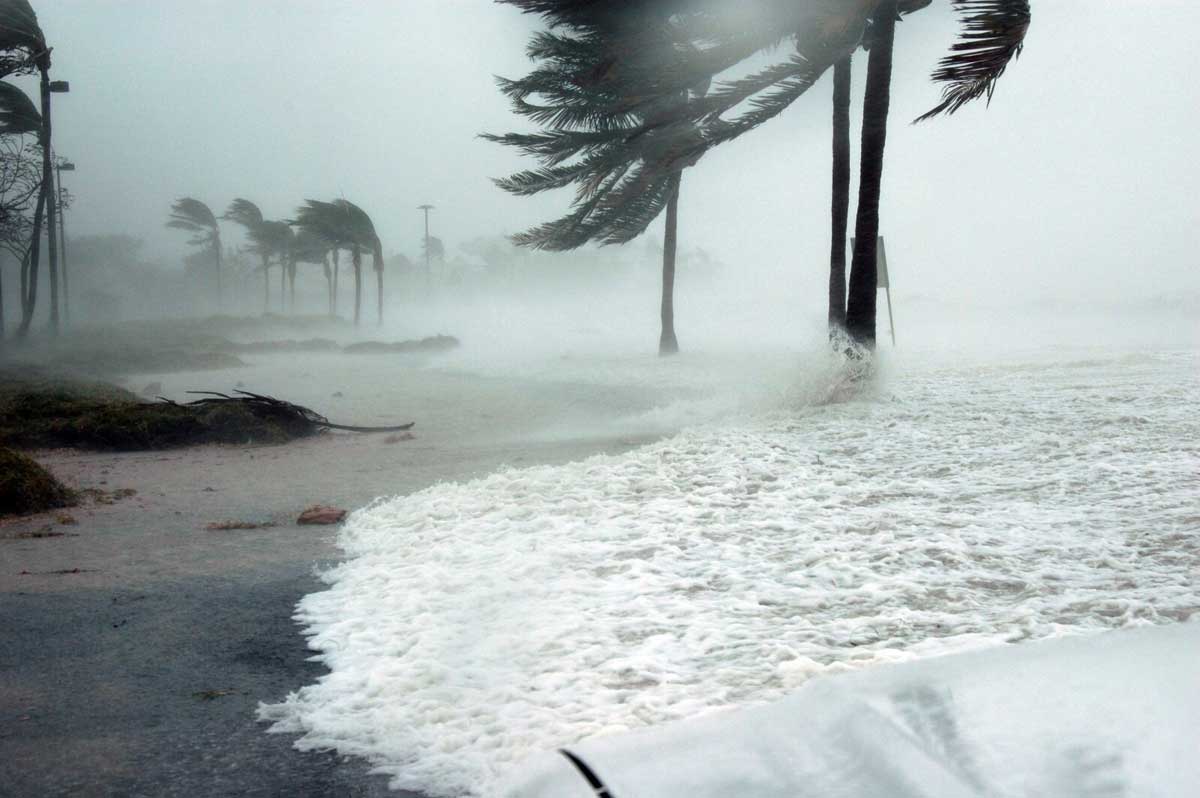 A hurricane lashing a beach with high surf and winds. Palm tree fronds are blowing sideways.