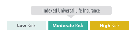 Indexed Universal Life Insurance Risk Level