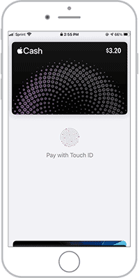 Apple touch pay for cash