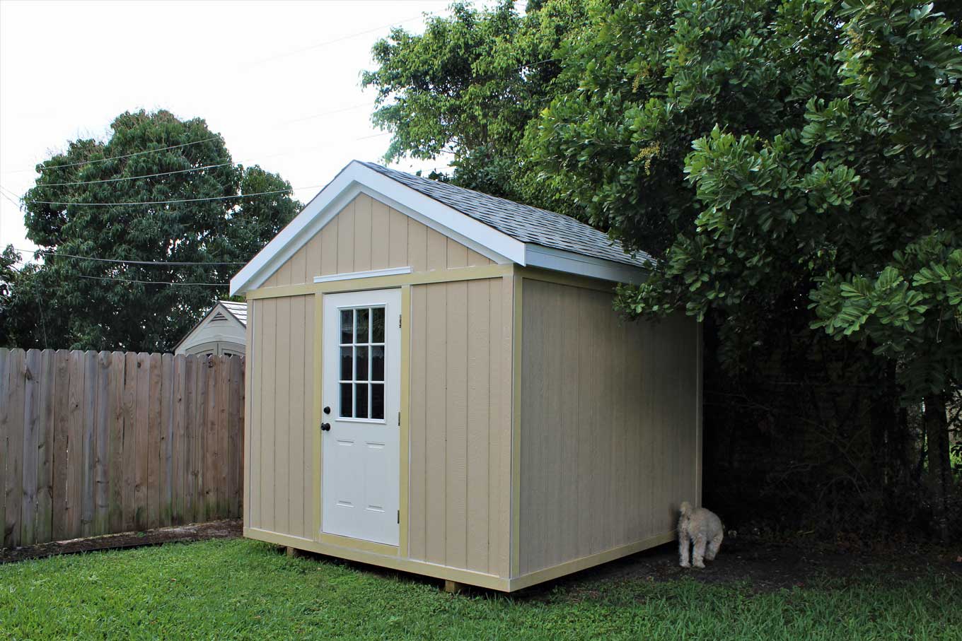 Modern outdoor shed in backyard on grass with dog sniffing behind it