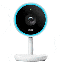 Nest Cam IQ camera