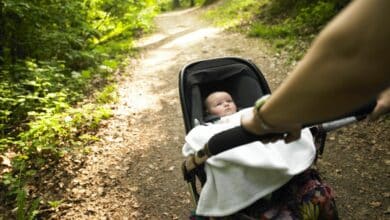 Pushing baby stroller on a hike.