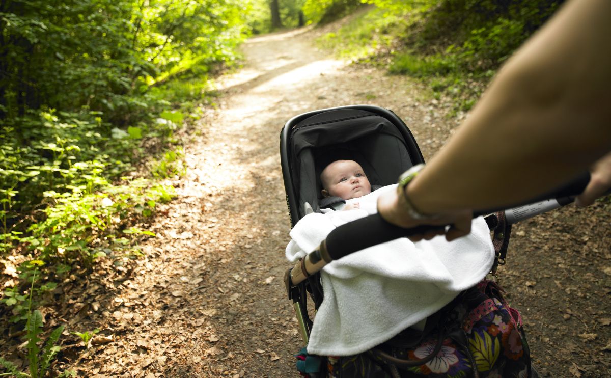 Pushing baby stroller on a hike.