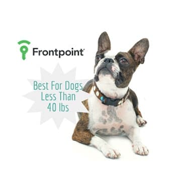 security system small dogs frontpoint