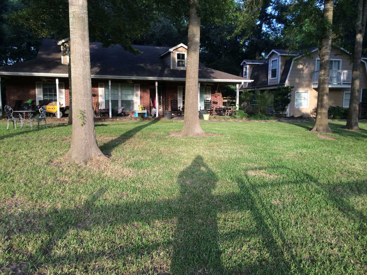 Shadow of a person in a front yard taking a photo of a house.