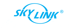 Skylink Logo