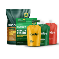 Sunday lawn care lawn starter kit.