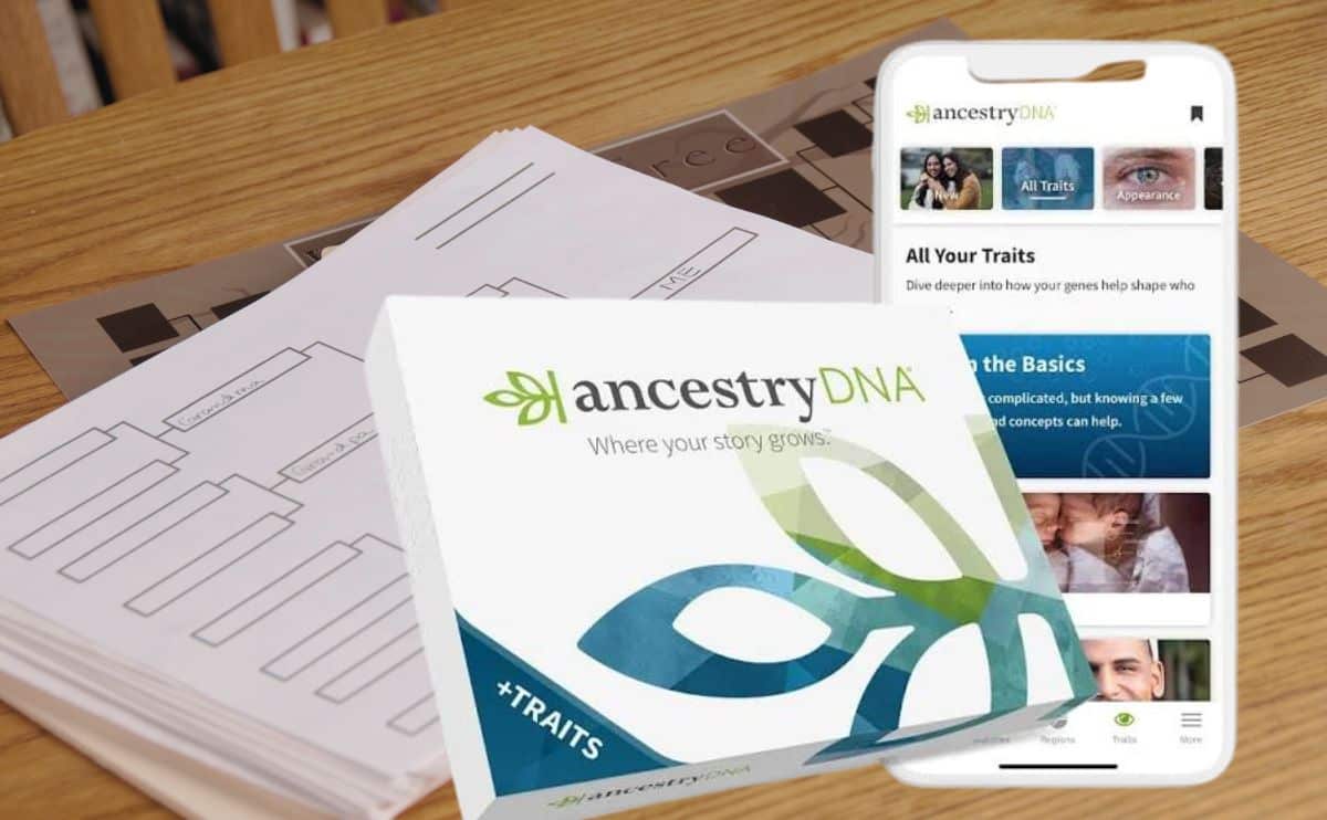 A table with family tree papers on it and AncestryDNA test kit and app on smartphone.