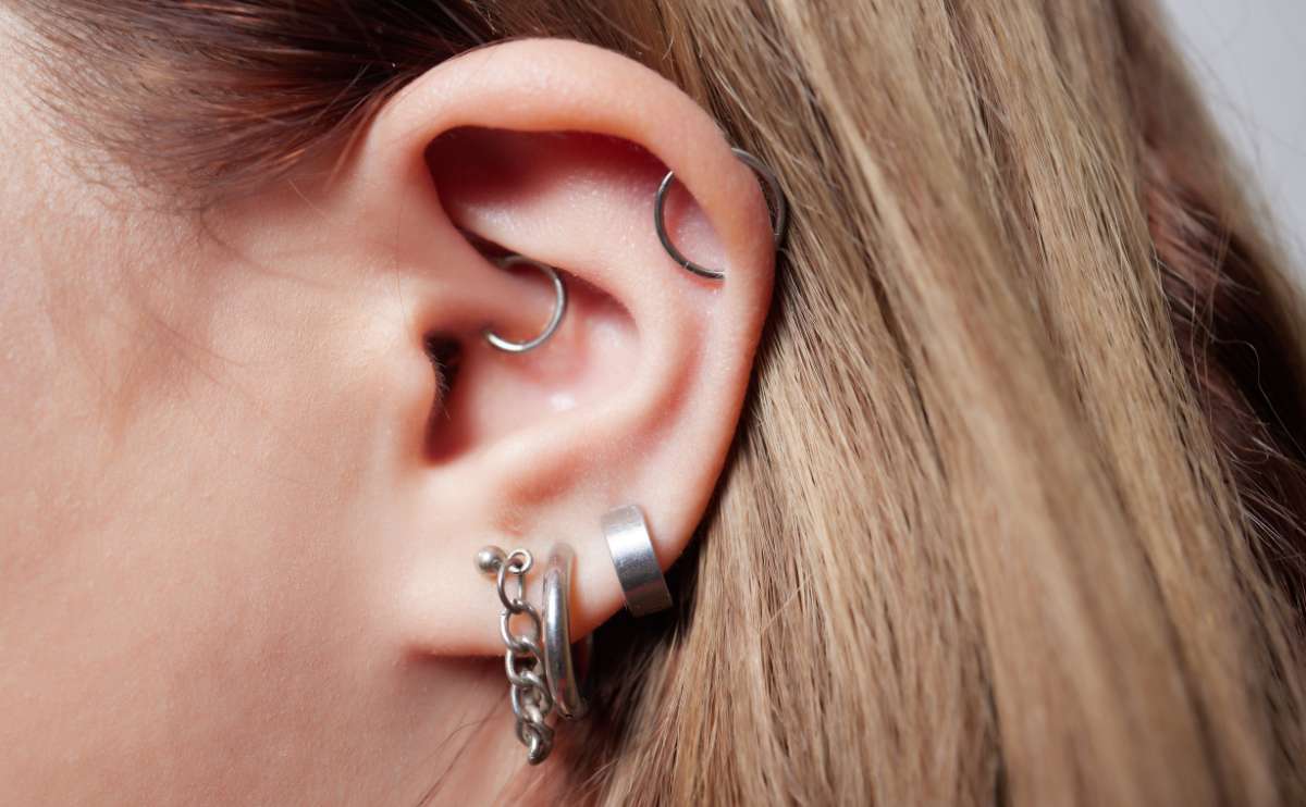 Titanium piercings on a woman's ear up close.