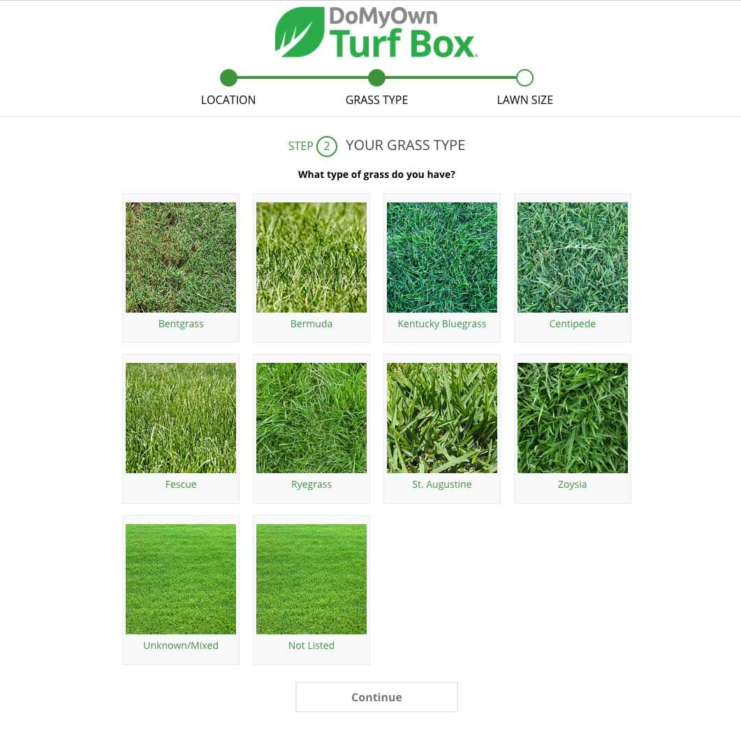 Turf Box grass quiz screenshot.
