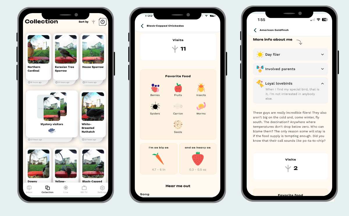 Using Bird Buddy app screenshots.