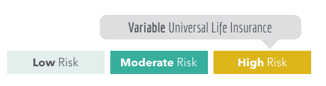 Variable Universal Life Insurance Risk Level