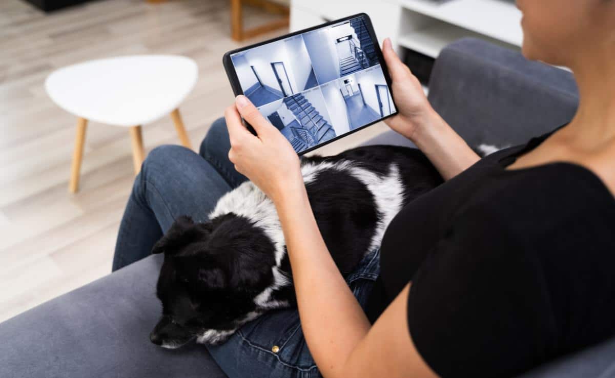 woman with an ipad monitoring her home security system cameras with dog sitting in her lap